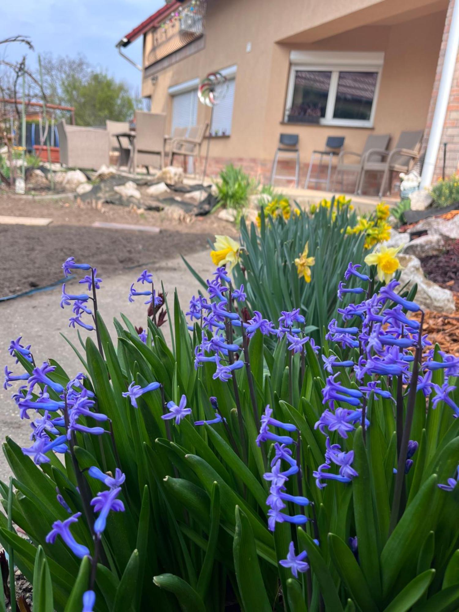 Garden Villa Βουδαπέστη Εξωτερικό φωτογραφία