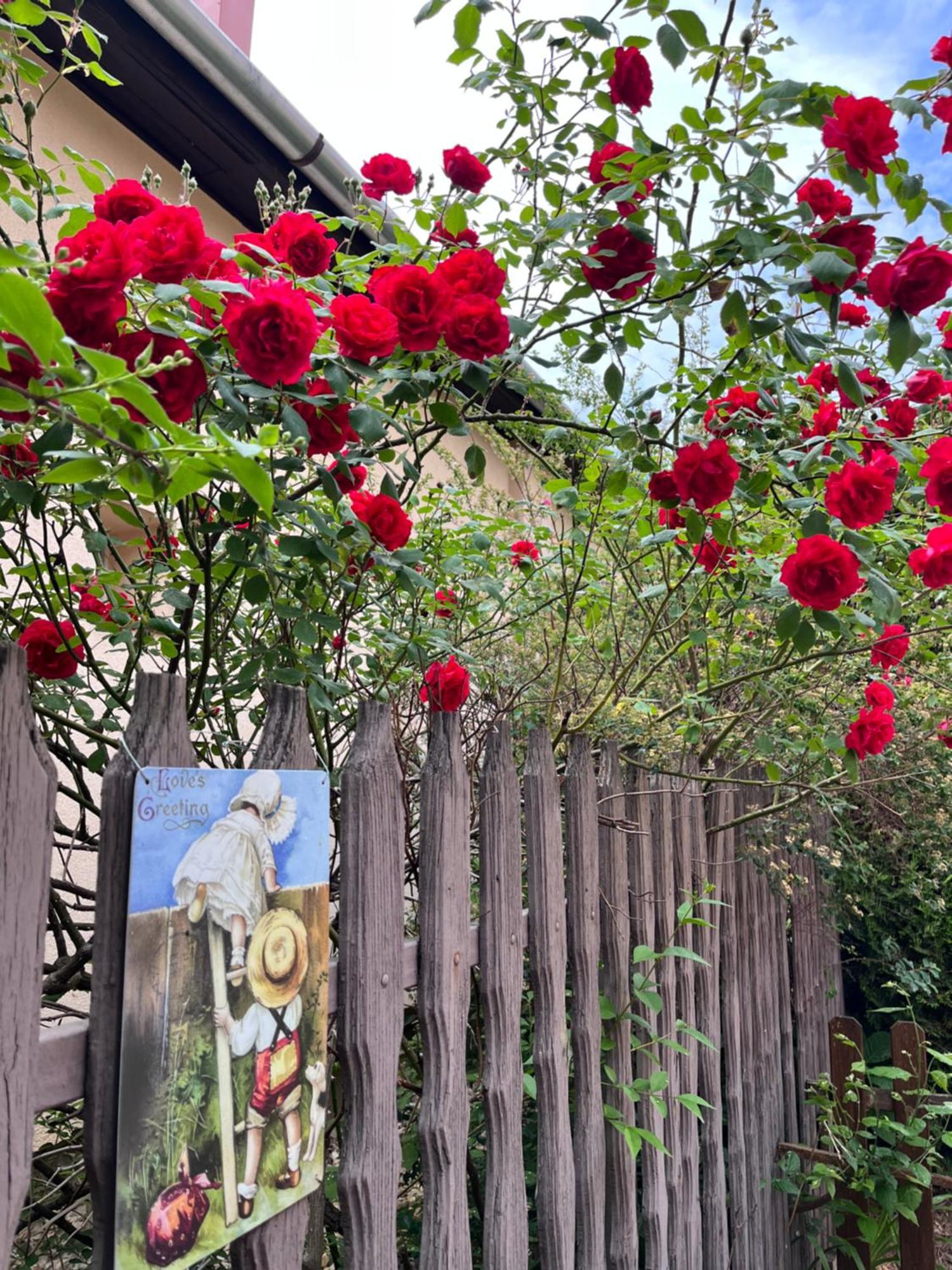 Garden Villa Βουδαπέστη Εξωτερικό φωτογραφία